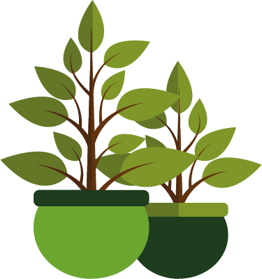 Plantes - atelier bien-être